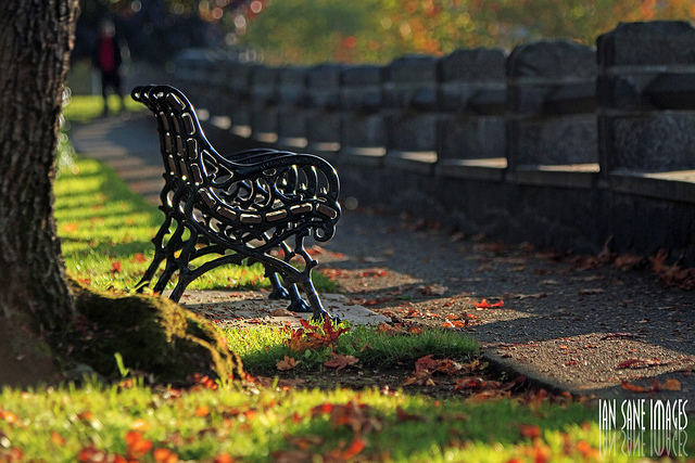 őszi park