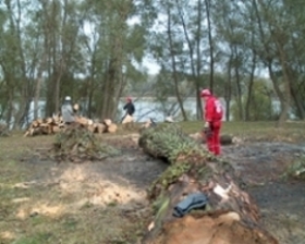 veszélyes fa mentesítés Leányfalun