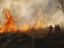 Tűzvész Heves megyében 2007 tavasz