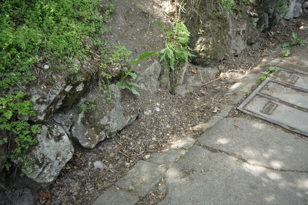 Föld Napja - Gellért-hegy 2012