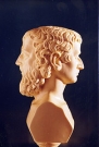 Janus profil
