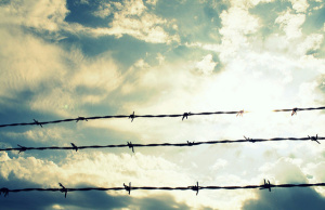 Fotó: Tyler Burrus via Flickr fence