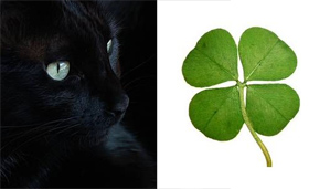 fekete macska és négylevelű lóhere
