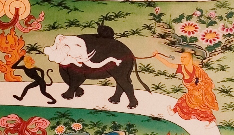 elefánt után futó szerzetes