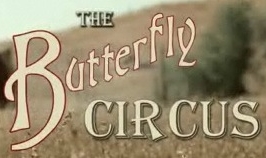 Butterfly circus